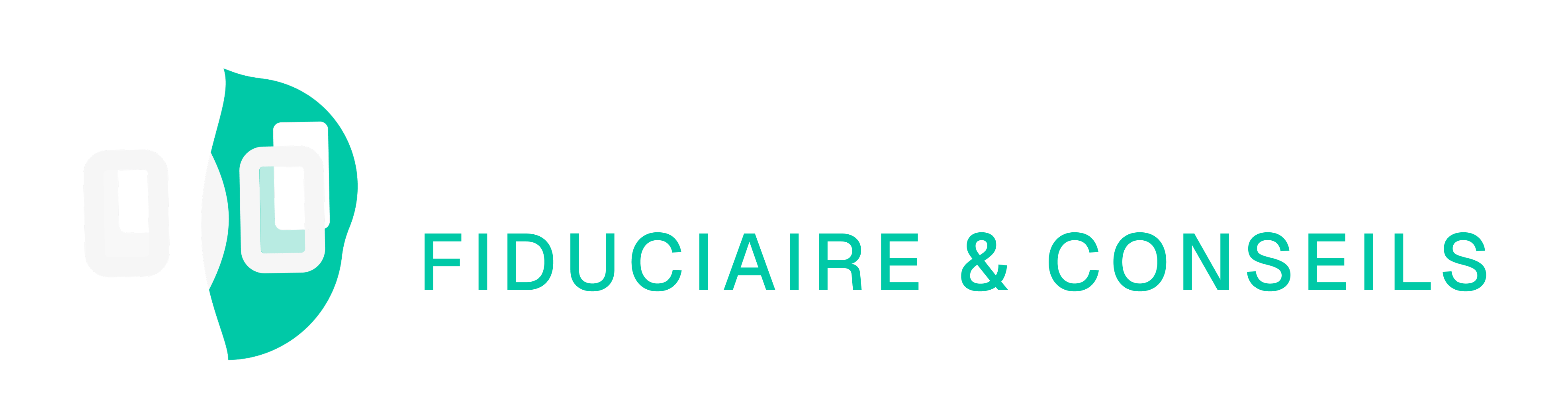 Fiduciaire & Conseils